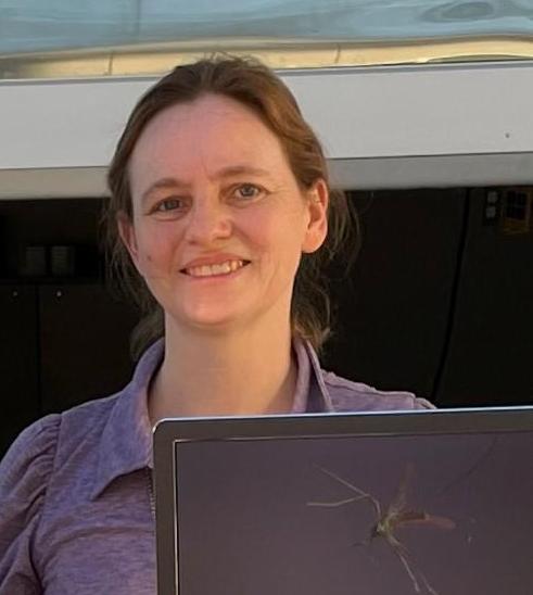 your profile picture