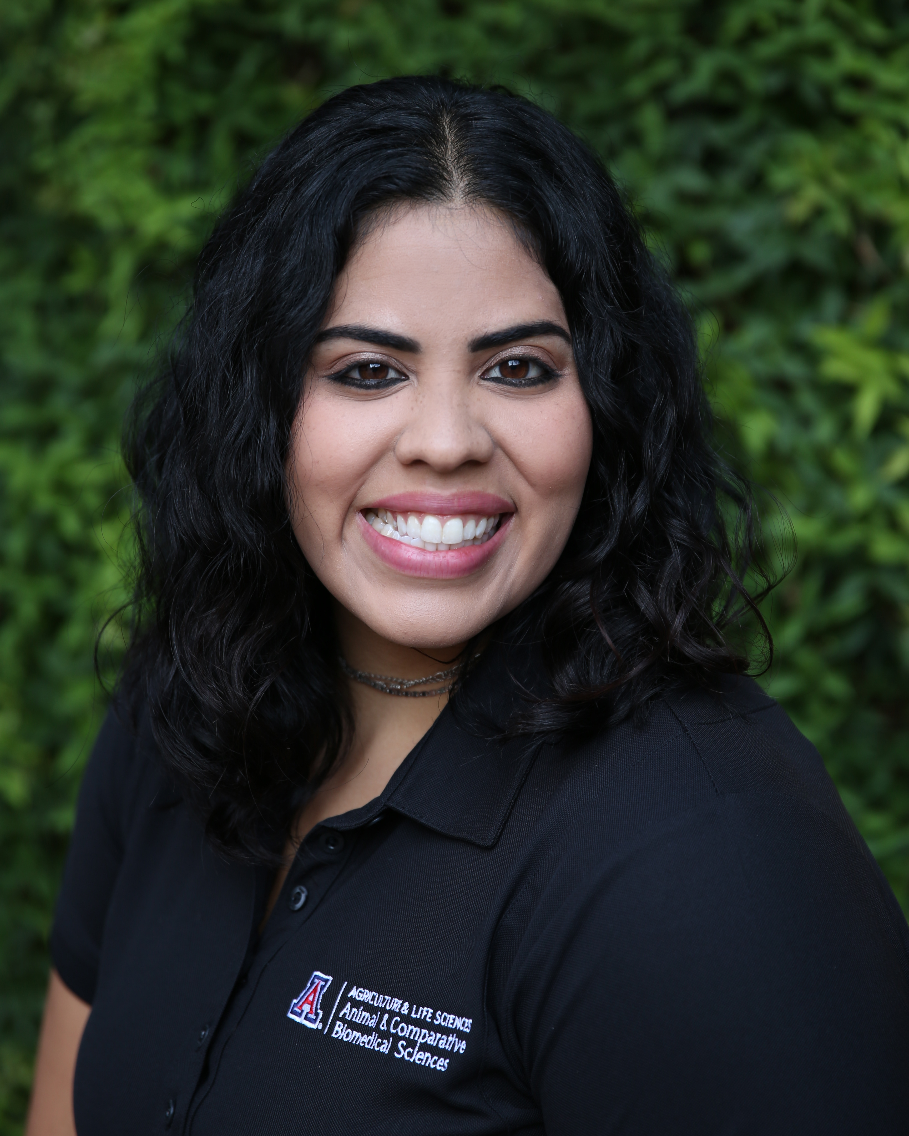 your profile picture