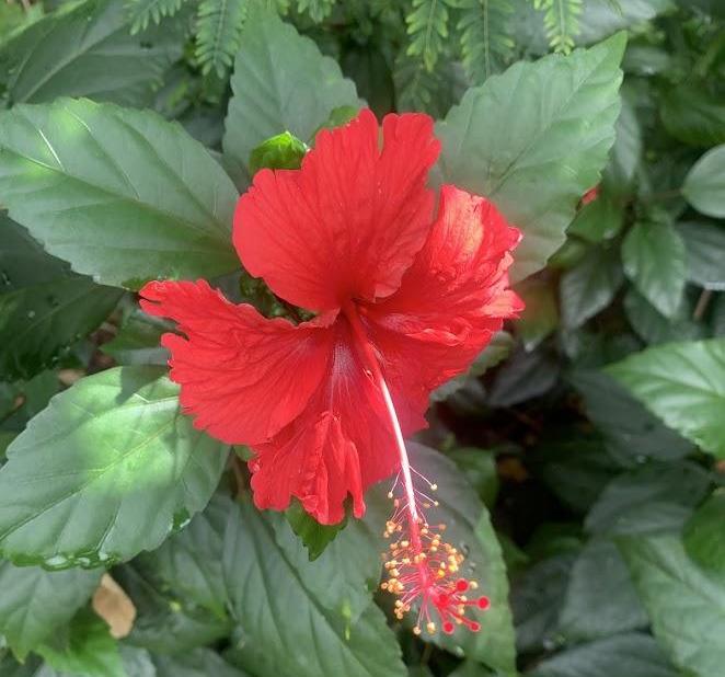 your profile picture