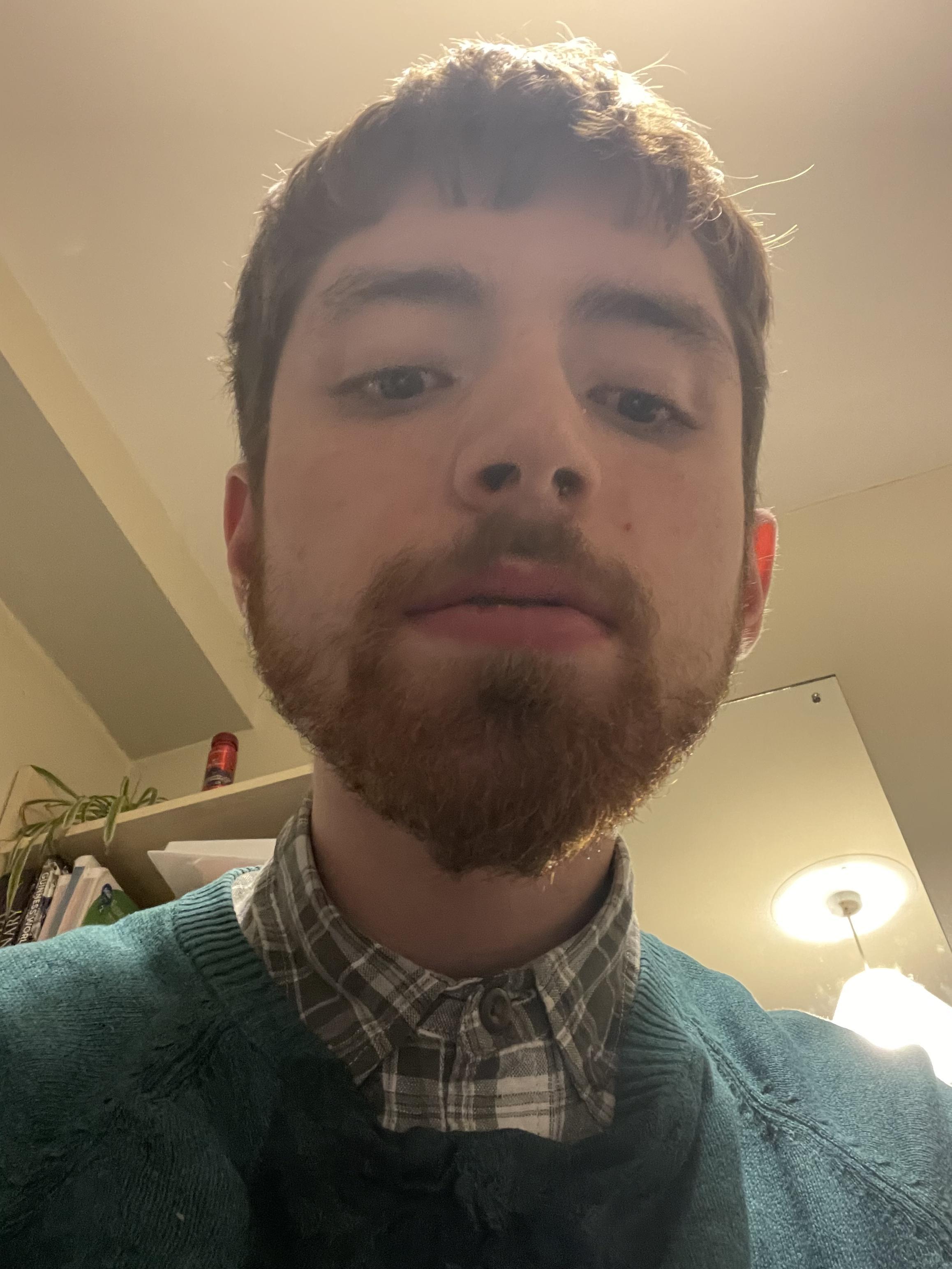 your profile picture